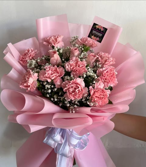 Carnation Delight — Design 2