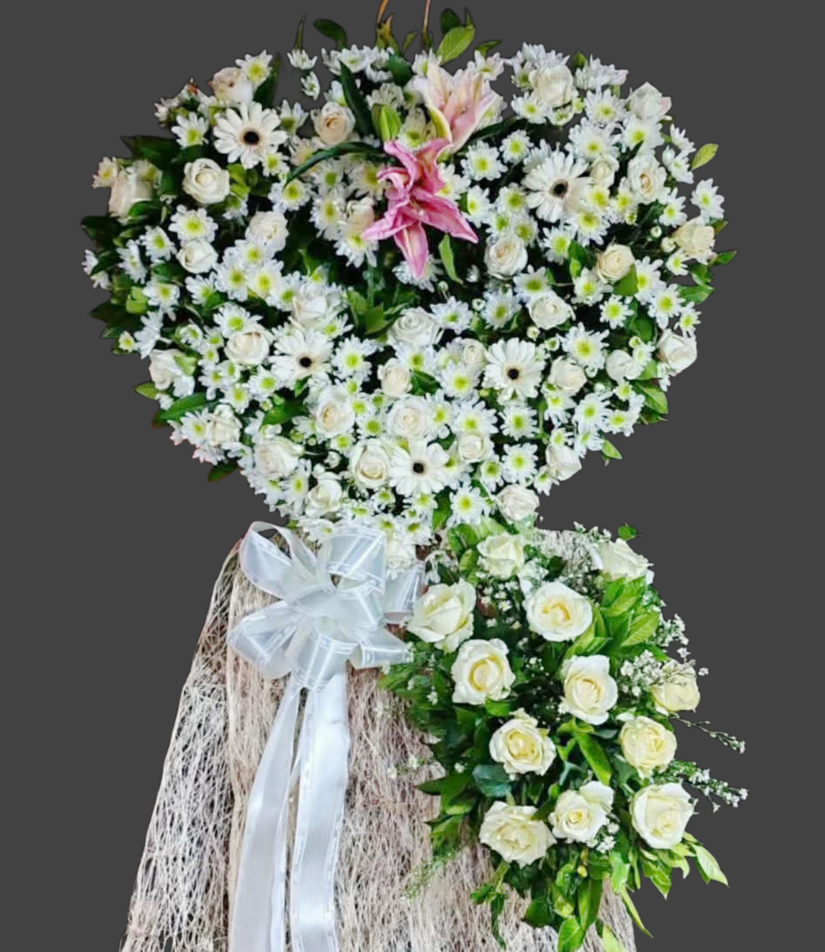 Sympathy all white — Design 2